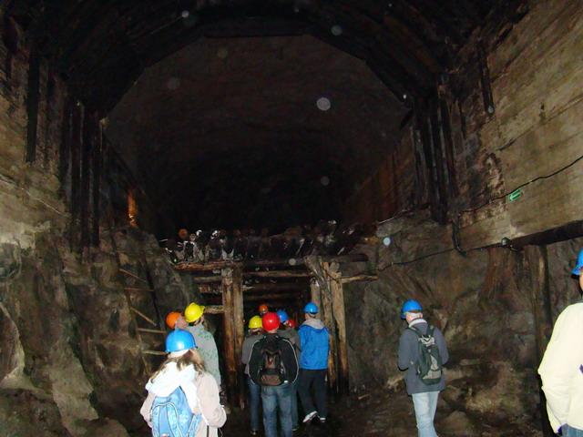 DSC01128.JPG