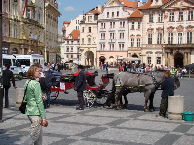 DSC01355.JPG