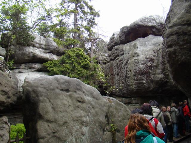 DSC01509.JPG