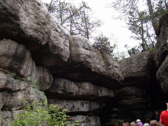 DSC01514.JPG