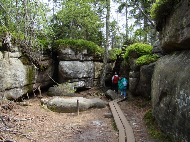 DSC01526.JPG
