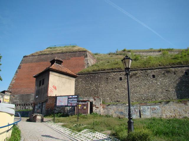DSC01686.JPG