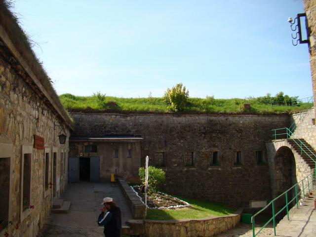 DSC01694.JPG