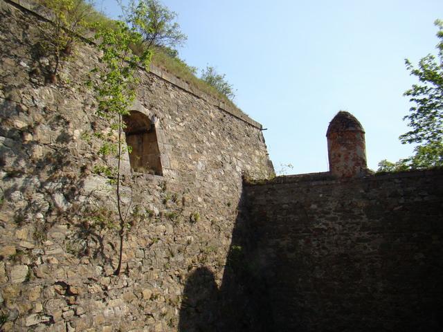 DSC01696.JPG