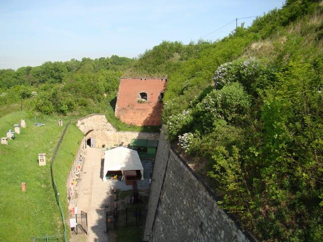 DSC01702.JPG