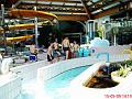 DSC01788