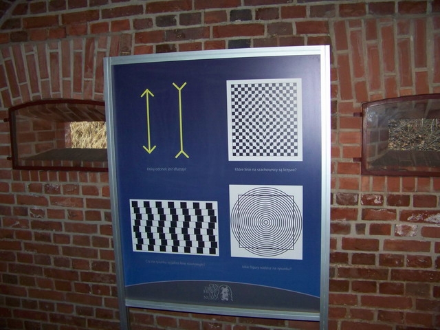 100_1754.jpg