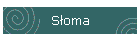 Soma